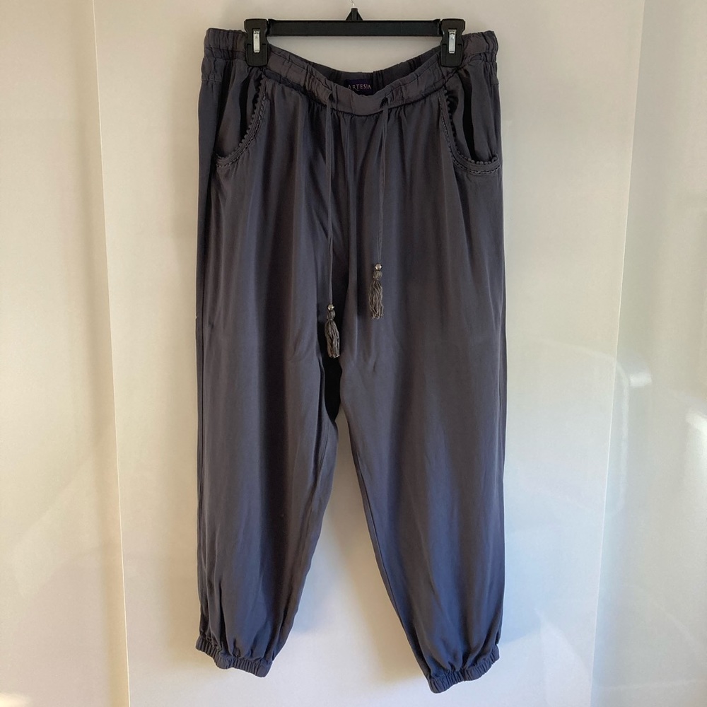 Gray Drawstring rayon pants size XL